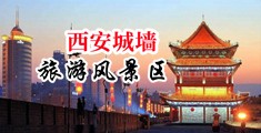 骚穴淫逼中国陕西-西安城墙旅游风景区